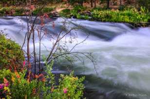 Deschutes River-1368 Deschutes River-1368